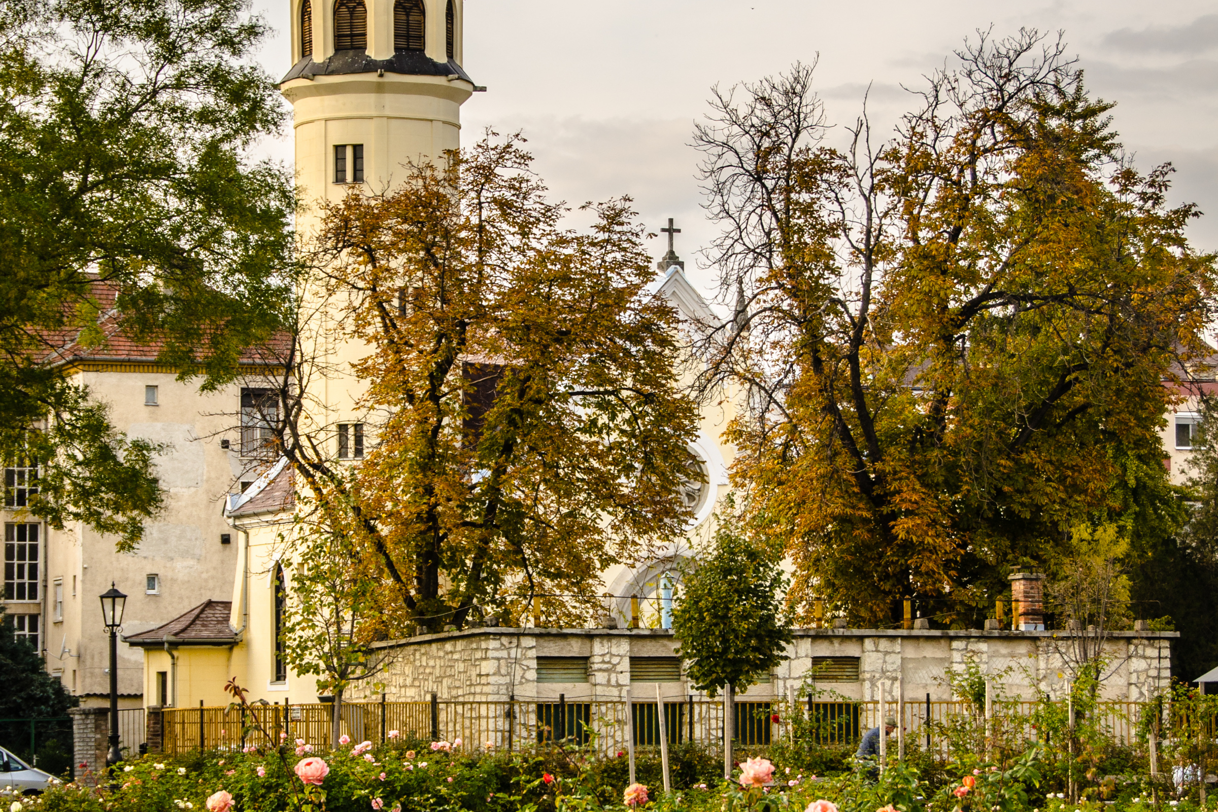 76 szolnok.webp